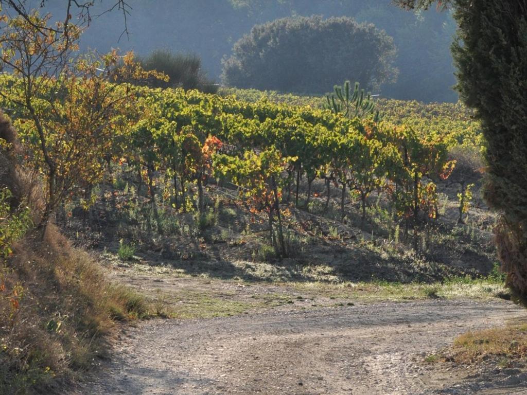 Domaine Saint Victor Hotell La Tour-dʼAigues Eksteriør bilde